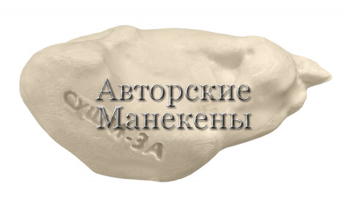 Манекен сова ушастая (самец) СУШМ-3 А